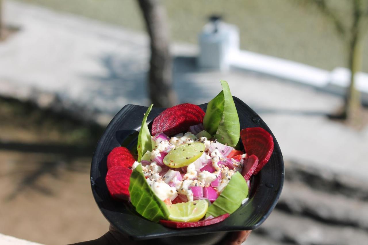 Shivanjal Wellness And Accommodation Rišikéš Exteriér fotografie